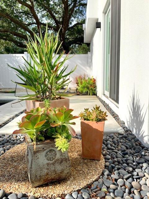Hiddengem In Charming Sarasota, Florida Villa Luaran gambar