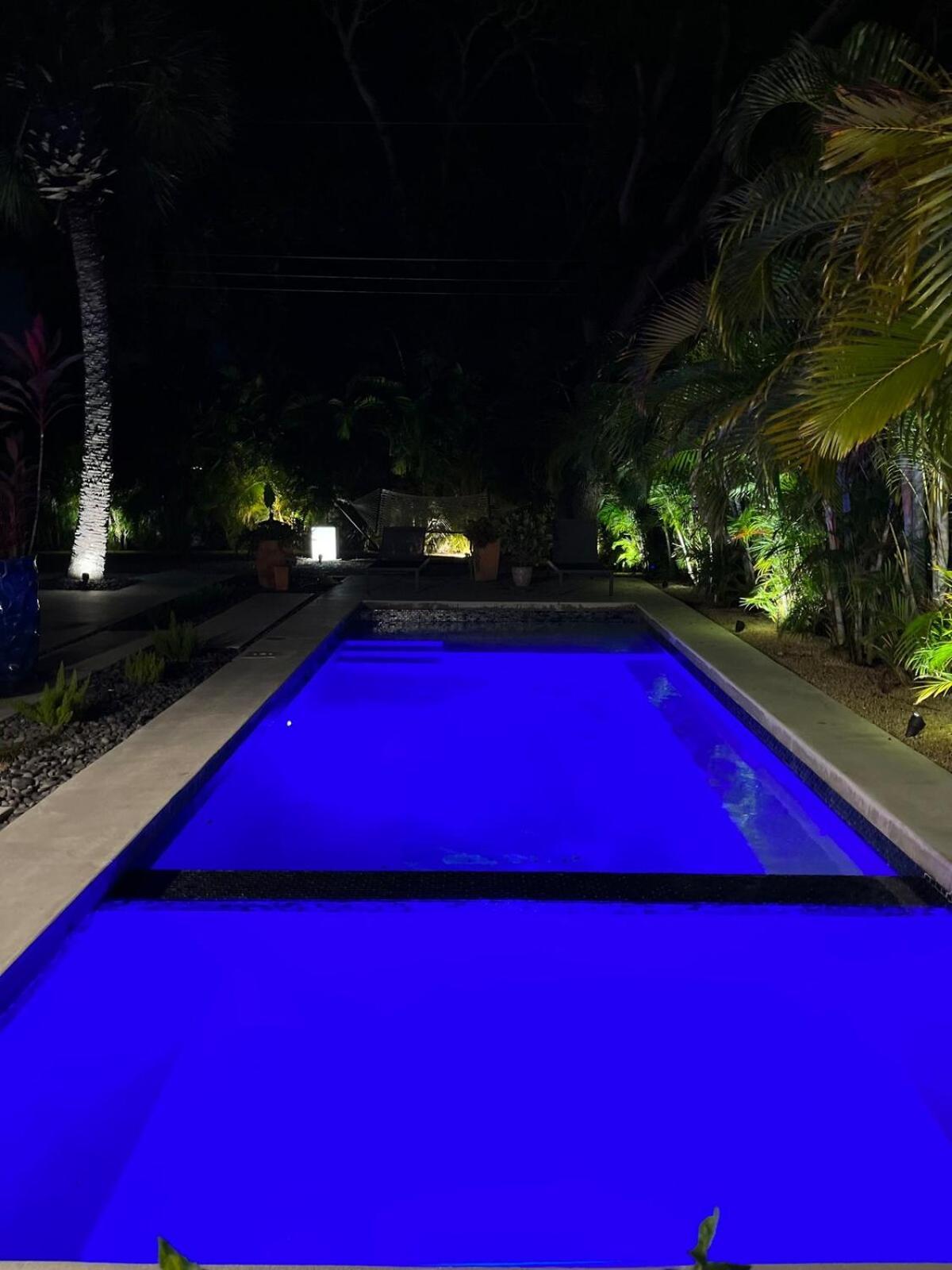 Hiddengem In Charming Sarasota, Florida Villa Luaran gambar